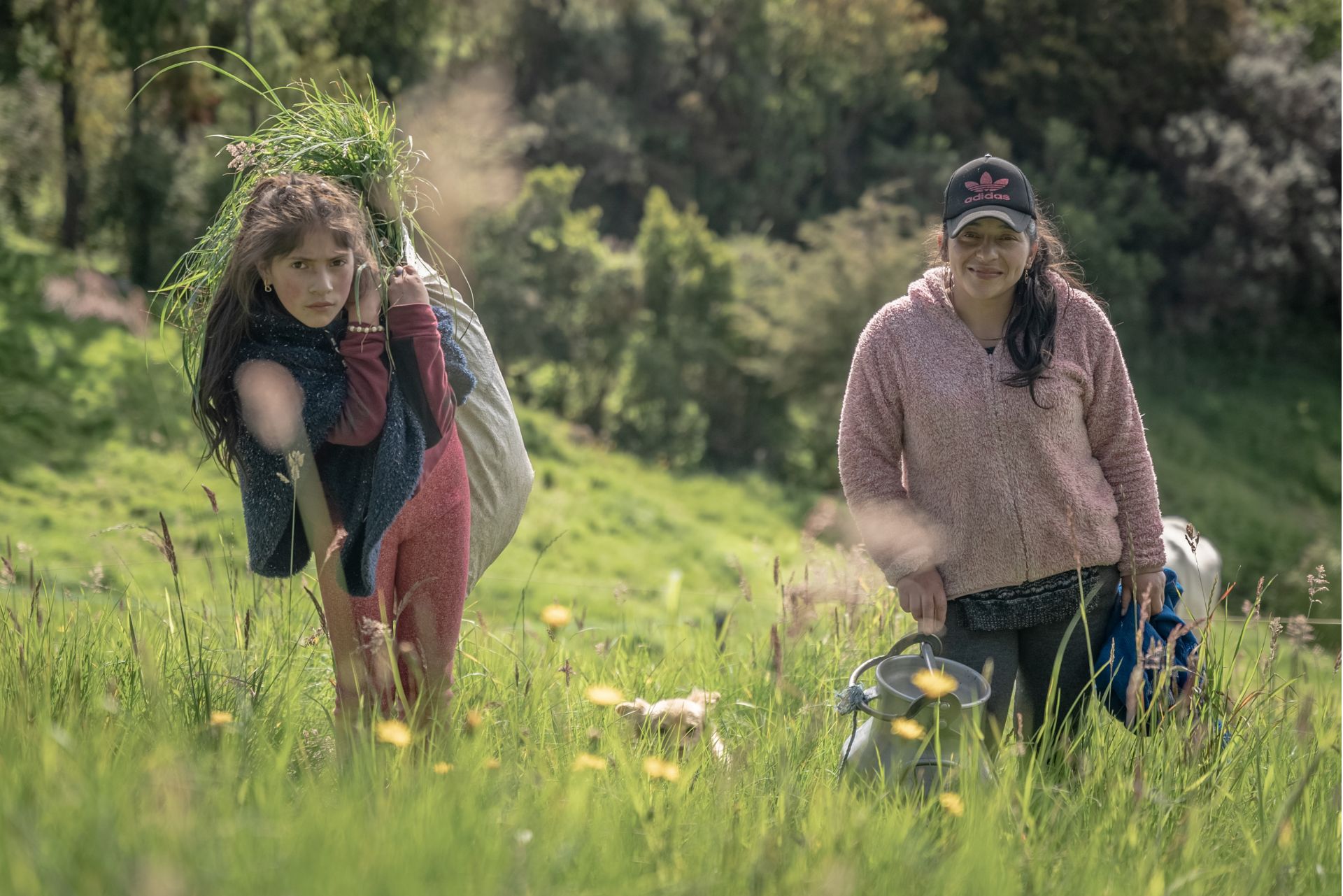 ODS en Latinoamérica