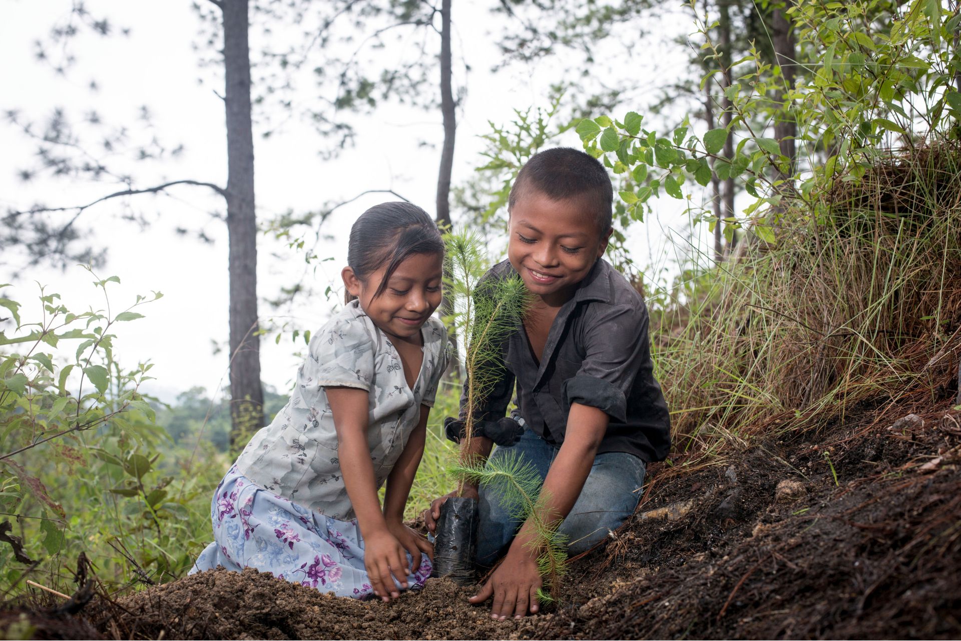 Dos niños plantando un árbol para reducir las emisiones de CO2