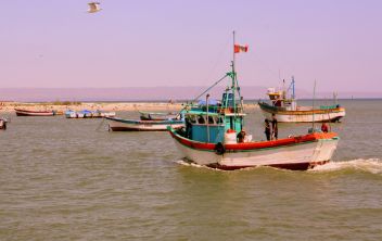 Pesca y acuicultura en Perú